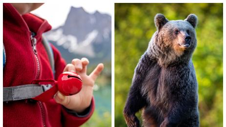 мечка звънче