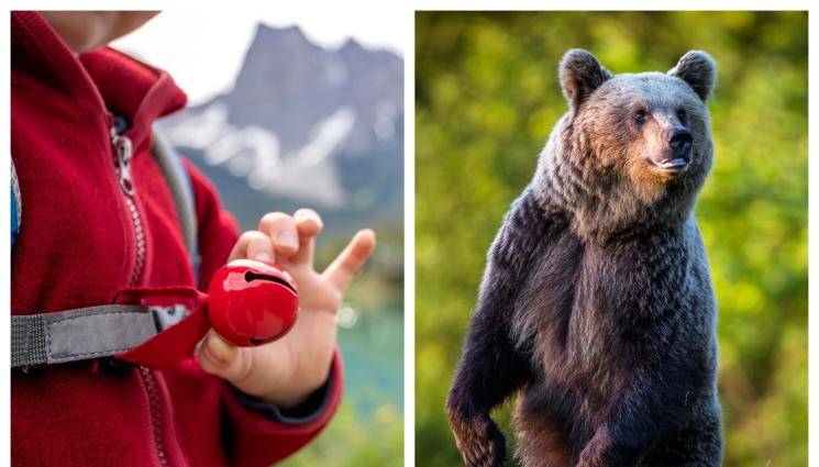 мечка звънче - Звънче срещу мечки ще носим в планината, еколози препоръчват и пеене!