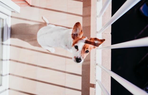 куче балкон