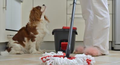 куче чистене