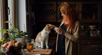 котка у дома