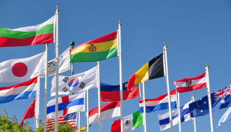 знамена - ДОЛУ ЗНАМЕНАТА: Забраняват на щангистите да излизат с националните си флагове