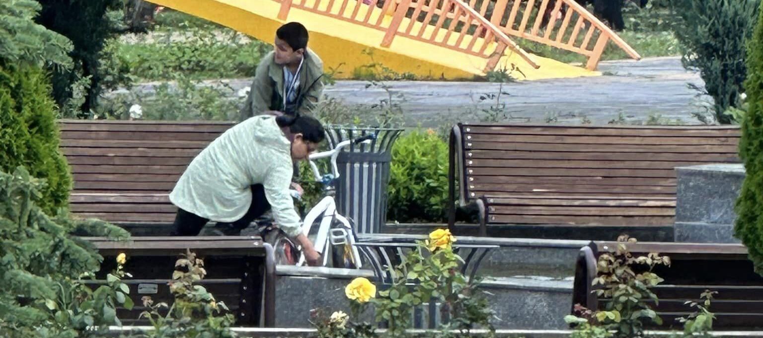 колело шадраван