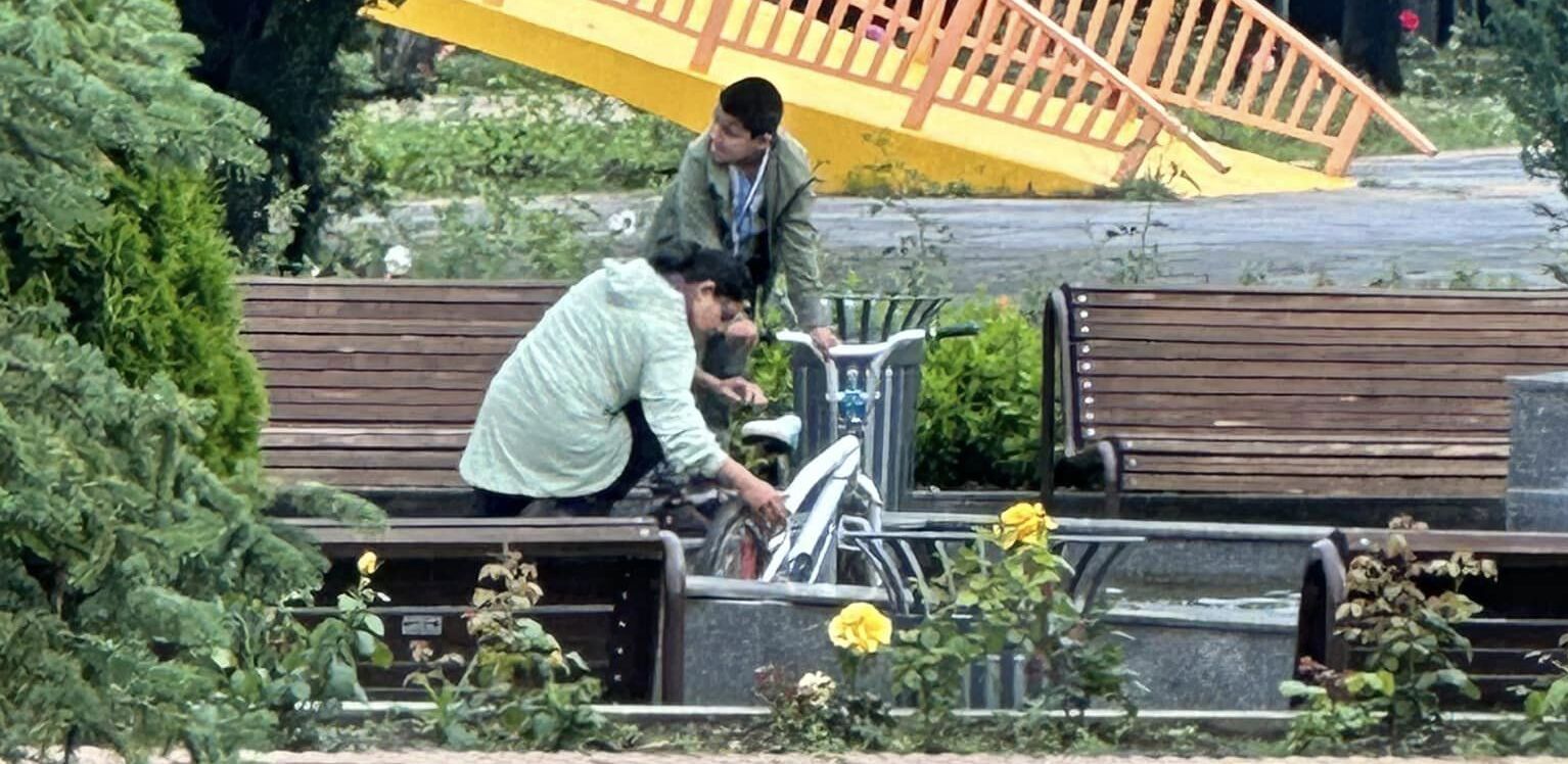 колело шадраван