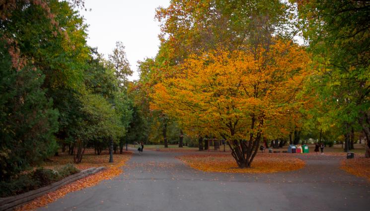 парк - ТРИАТЛОН В СТОЛИЦАТА: Жена „окъпа“ колело в шадравана на парк и избяга (ВИДЕО+СНИМКИ)