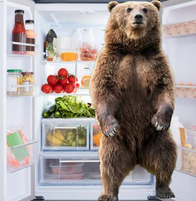 мечка хладилник