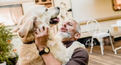 куче собственик