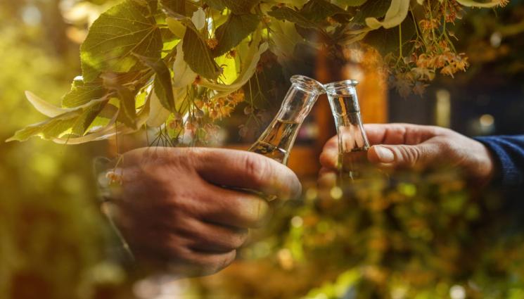 липа ракия - ДАДОХА ЗАДЕН: Свалиха от обществено обсъждане законопроекта за виното и ракията!