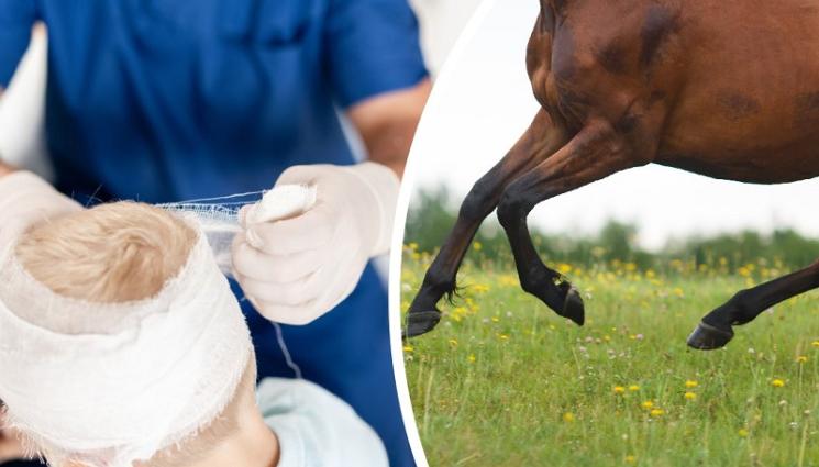 дете кон - НА КОСЪМ ОТ ТРАГЕДИЯ! Кон размята копита и потроши дете