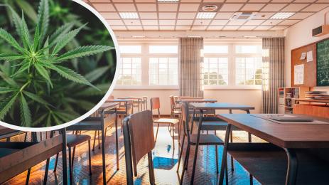 училище дрога