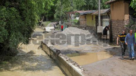 Луда Яна Желява