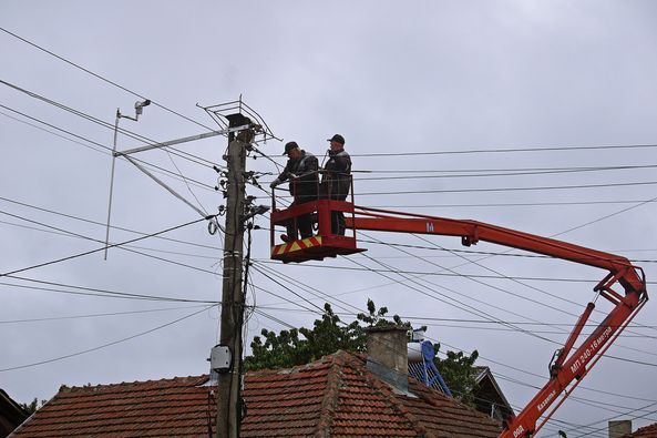 щъркели Драгушиново