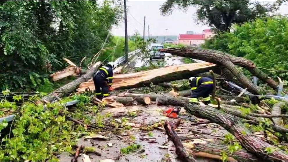Снимка: След дъждовете в Силистренско: Сигнали за наводнени мазета и паднали дървета