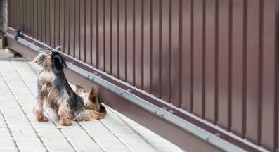 куче ограда