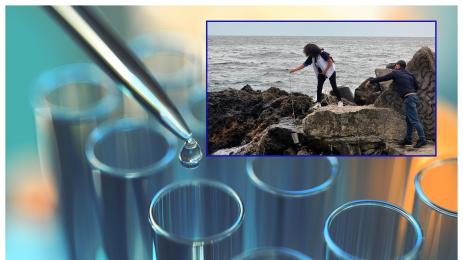 проби Черно море