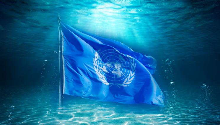 оон океан - ИСТОРИЧЕСКИ УСПЕХ! ООН прие първия международен договор за защита на екосистемите в открито море