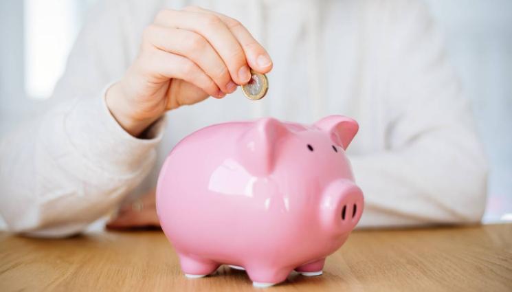 прасе - Отвъд заплатата: Бюджетиране при работа на свободна практика