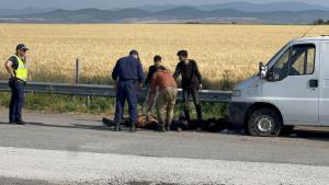 Общо седем нелегални мигранти бяха задържани днес в северозападния турски