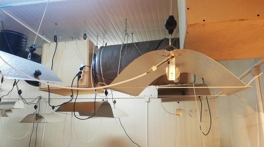 лаборатория трева