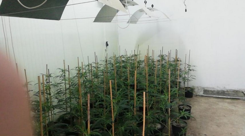 лаборатория трева