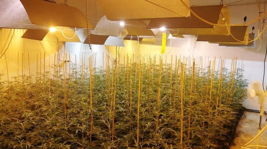 лаборатория трева