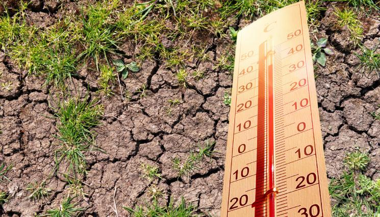 суша - НОВИТЕ УСЛОВИЯ НА ВРЕМЕТО! НИМХ показа как се е затоплил климатът в България през последния половин век (ГРАФИКИ)