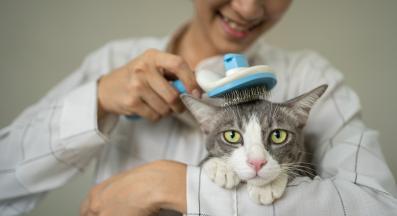 разресване на котка