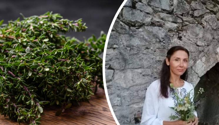 мащерка - ЗЛАТНО ВРЕМЕ: Фитотерапевтът Искра Урумова: Мащерката е царицата на билките, лекува най-много болести