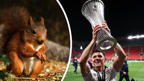 Аарън Кресуел