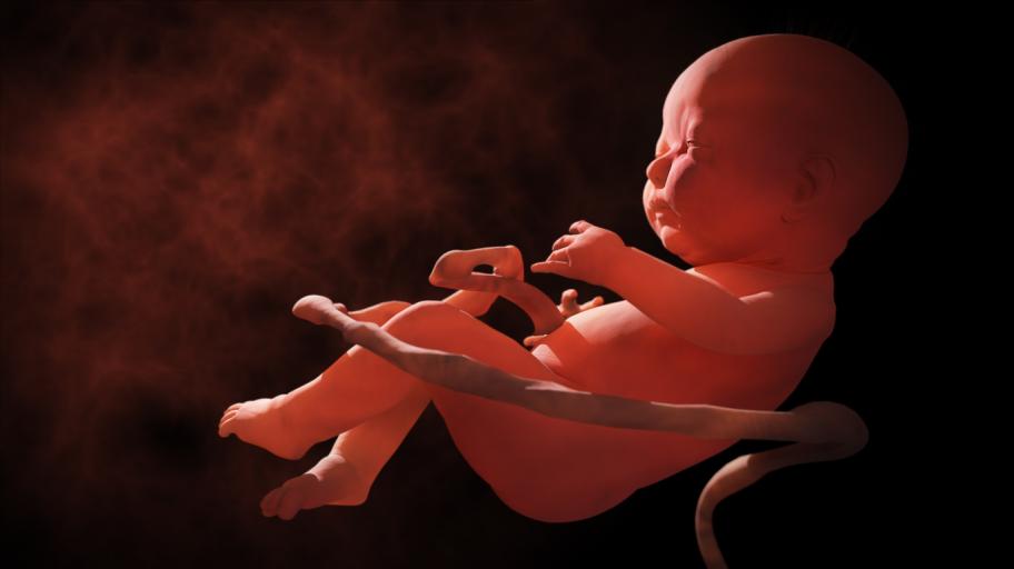 Как бебетата дишат в утробата?