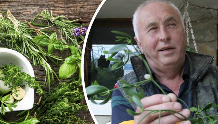 Еньо Миланов - СИЛАТА НА БИЛКИТЕ: Чародеят Еньо Миланов победи дори рака