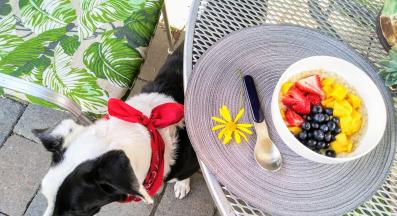 куче ананас