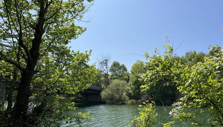 река
