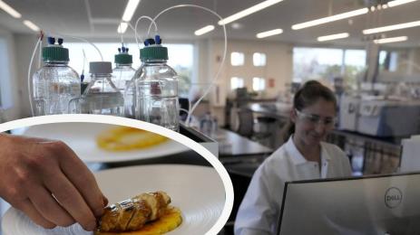 лаборатория за месо