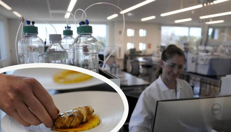 лаборатория за месо - Агро Телеграф: Сервират лабораторни пържоли в ресторантите