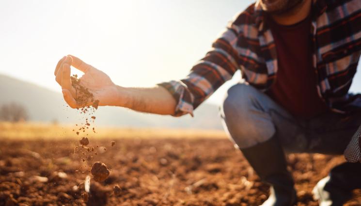 нива - Агро Телеграф: Нивите в Добруджа минаха 2000 лв. на декар