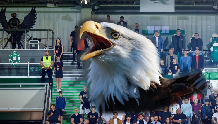 Лудогорец орел орлите карти - КОЙ РАЗБИРА ТУК СЕ СПИРА: Лудогорец пусна за продан годишните абонаментни карти