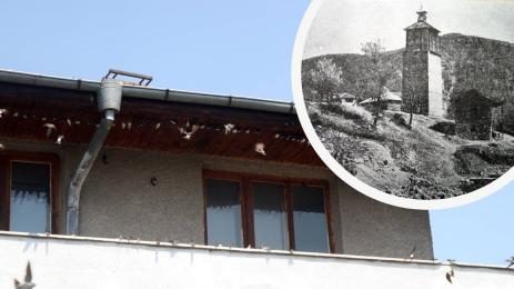 Крупнишките трусове