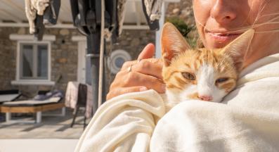 собственик и котка