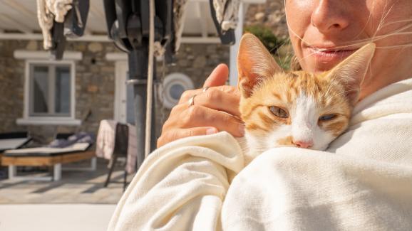 собственик и котка