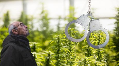 дядо марихуана полиция белезници