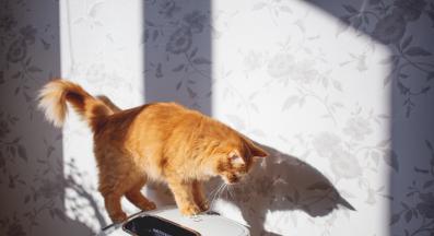 пречиствател за въздух у дома