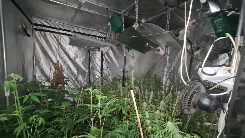 ГДБОП разби престъпна група за разпространение на наркотици в София,