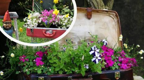 куфар цветя