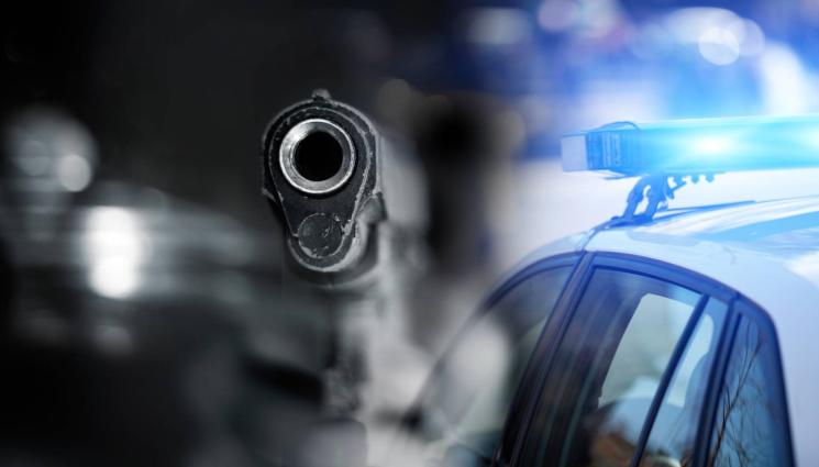 пистолет полиция