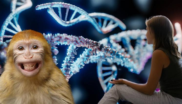 примат тийнейджър наука - Учените разкриха на каква възраст се превръщаме от примати в хора