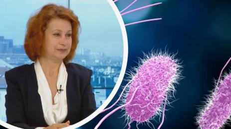 салмонелоза Ива Христова