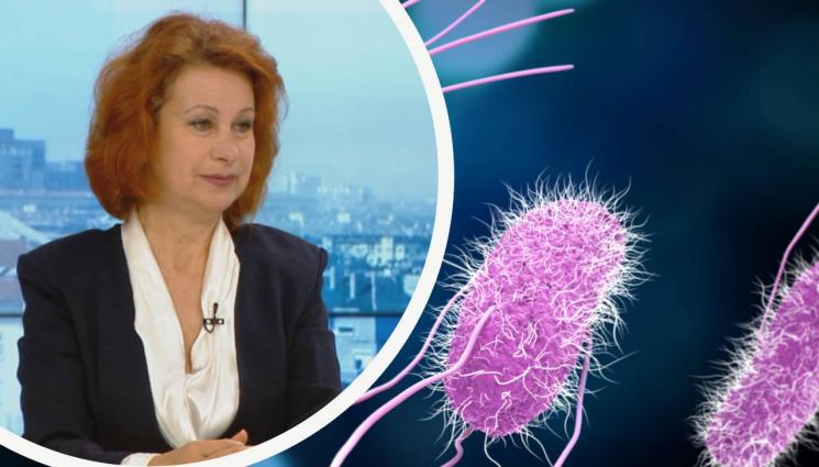 салмонелоза Ива Христова - Бум на салмонелоза