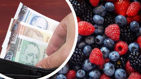 капини малини боровинки цена