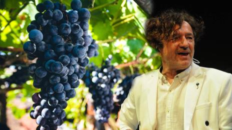 Горан Брегович лозе